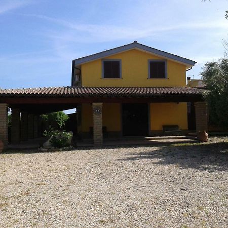 La Campagnola Villa Cerveteri Kültér fotó